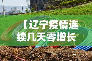 【辽宁疫情连续几天零增长,辽宁疫情2026】