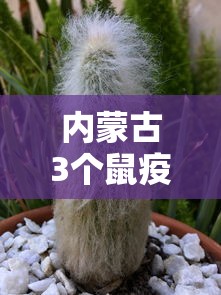 内蒙古3个鼠疫疫点，内蒙古3个鼠疫疫点均位于荒漠草原，已隔离密切接触者