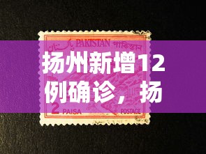 扬州新增12例确诊,扬州新增12例确诊