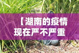 【湖南的疫情现在严不严重,湖南疫情最新消息2020】