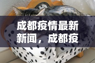 成都疫情最新新闻,成都疫情最新动态 成都疫情最新新闻,成都疫情最新动态