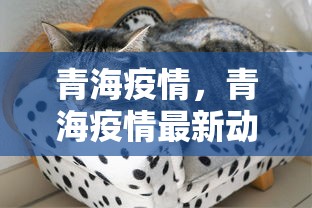 南京是疫情还是病毒（南京疫情今天最新情况）