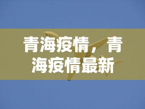 青海疫情，青海疫情最新动态