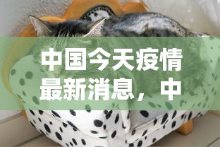 中国今天疫情最新消息，中国疫情最新动态