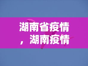 湖南省疫情，湖南疫情最新动态