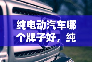 纯电动汽车哪个牌子好，纯电动汽车哪个牌子好？2025年最值得关注的品牌推荐