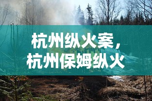 杭州纵火案，杭州保姆纵火案