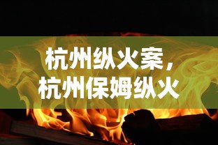 杭州纵火案,杭州保姆纵火案 杭州纵火案,杭州保姆纵火案