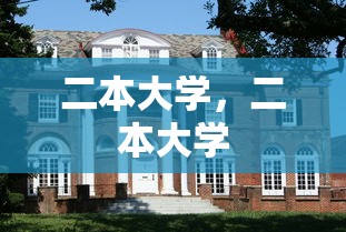 二本大学，二本大学