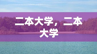 二本大学，二本大学