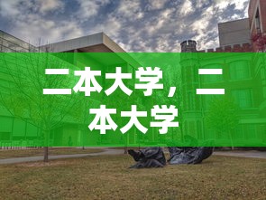 二本大学，二本大学