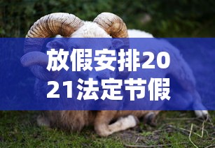 放假安排2021法定节假日五一，2021年五一法定节假日放假安排