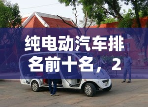 纯电动汽车排名前十名，2024年纯电动汽车排名前十名