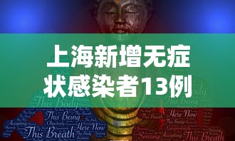 上海新增无症状感染者13例，上海新增无症状感染者13例