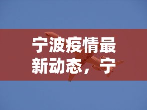 宁波疫情最新动态，宁波疫情最新动态