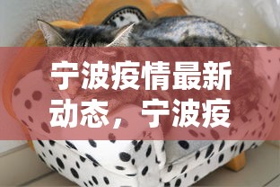 宁波疫情最新动态，宁波疫情最新动态