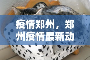 疫情郑州，郑州疫情最新动态
