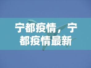 宁都疫情，宁都疫情最新动态