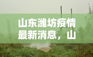 山东潍坊疫情最新消息，山东潍坊疫情最新消息