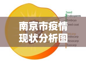南京市疫情现状分析图/南京疫情最新动态