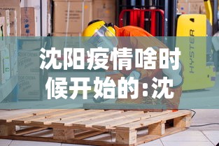 沈阳疫情啥时候开始的:沈阳疫情啥时候开始的啊