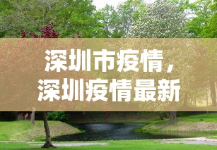 深圳市疫情，深圳疫情最新动态