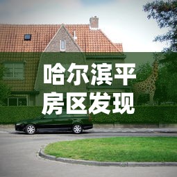 哈尔滨平房区发现2例阳性感染者，哈尔滨平房区发现2例阳性感染者