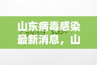 山东病毒感染最新消息，山东病毒感染最新消息