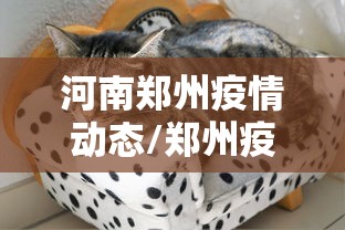 河南郑州疫情动态/郑州疫情2020