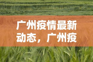广州疫情最新动态，广州疫情最新动态与防控措施通报