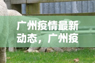 广州疫情最新动态，广州疫情最新动态与防控措施通报