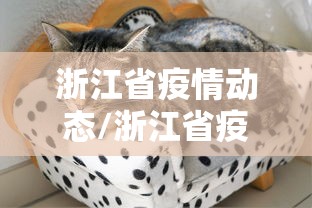 浙江省疫情动态/浙江省疫情期间分管领导