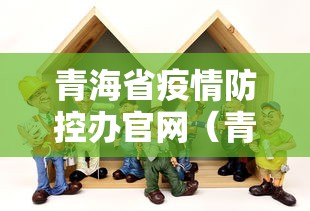 青海省疫情防控办官网(青海省防疫站官网)