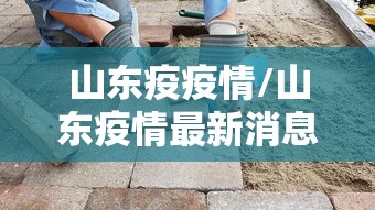 山东疫疫情/山东疫情最新消息2020
