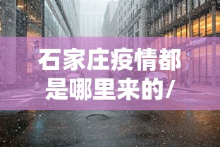 石家庄疫情都是哪里来的/石家庄疫情都是哪里来的啊