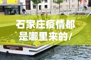 石家庄疫情都是哪里来的/石家庄疫情都是哪里来的啊