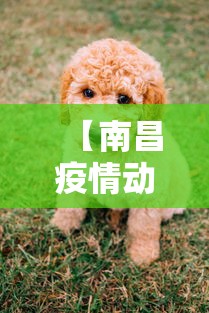【南昌疫情动态图最新,2026南昌最新同志据点】