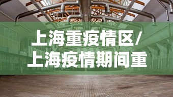 上海重疫情区/上海疫情期间重大事件