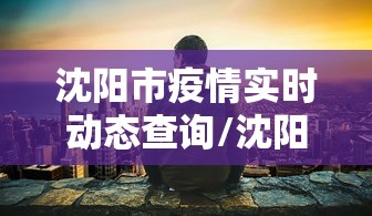 沈阳市疫情实时动态查询/沈阳疫情动态2026年8月 沈阳市疫情实时动态查询/沈阳疫情动态2026年8月
