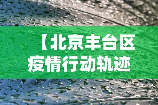 【北京丰台区疫情行动轨迹/北京疫情被处理的官员】