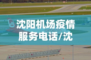 沈阳机场疫情服务电话/沈阳机场官网入口