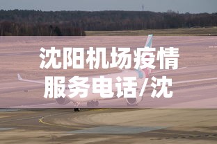 沈阳机场疫情服务电话/沈阳机场官网入口