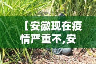 【安徽现在疫情严重不,安徽有疫情吗最新消息通知】