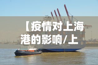 【疫情对上海港的影响/上海港对中国经济的影响】 【疫情对上海港的影响/上海港对中国经济的影响】