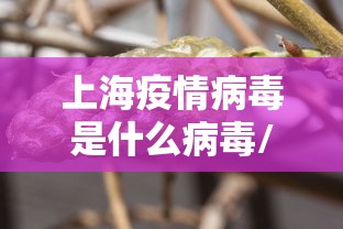 上海疫情病毒是什么病毒/上海疫情码叫什么