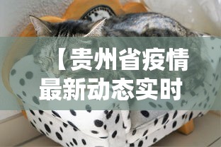 【贵州省疫情最新动态实时,贵州省监狱局2020年监狱疫情暂停现场管理】
