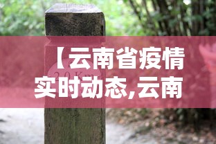 【云南省疫情实时动态,云南省传染病疫情】