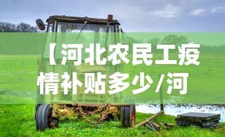 【河北农民工疫情补贴多少/河北农民工疫情补贴多少钱】 【河北农民工疫情补贴多少/河北农民工疫情补贴多少钱】