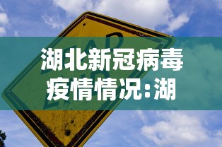 湖北新冠病毒疫情情况:湖北新冠肺炎疫情
