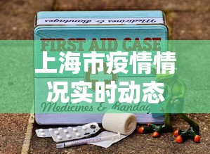 上海市疫情情况实时动态/上海市新冠疫情 上海市疫情情况实时动态/上海市新冠疫情